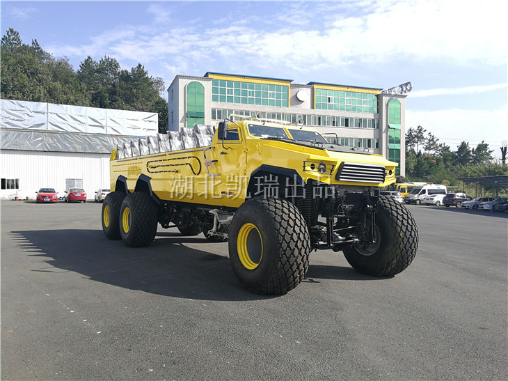 沙漠沖浪車定制