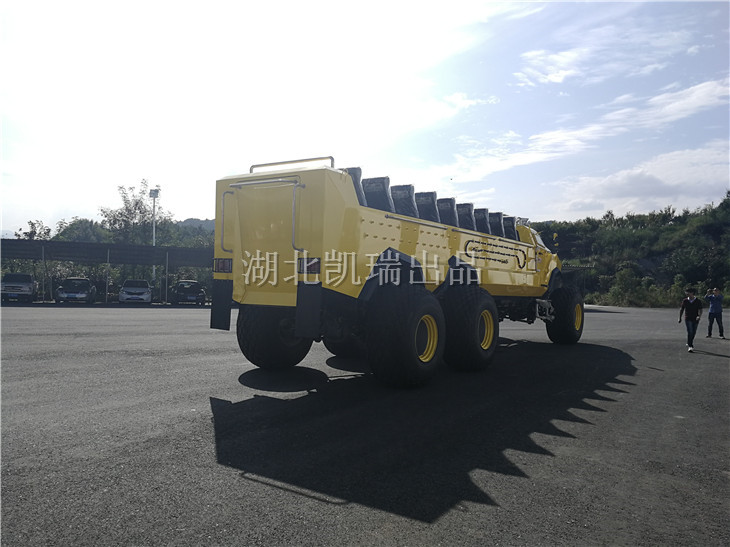 沙漠沖浪車側(cè)面